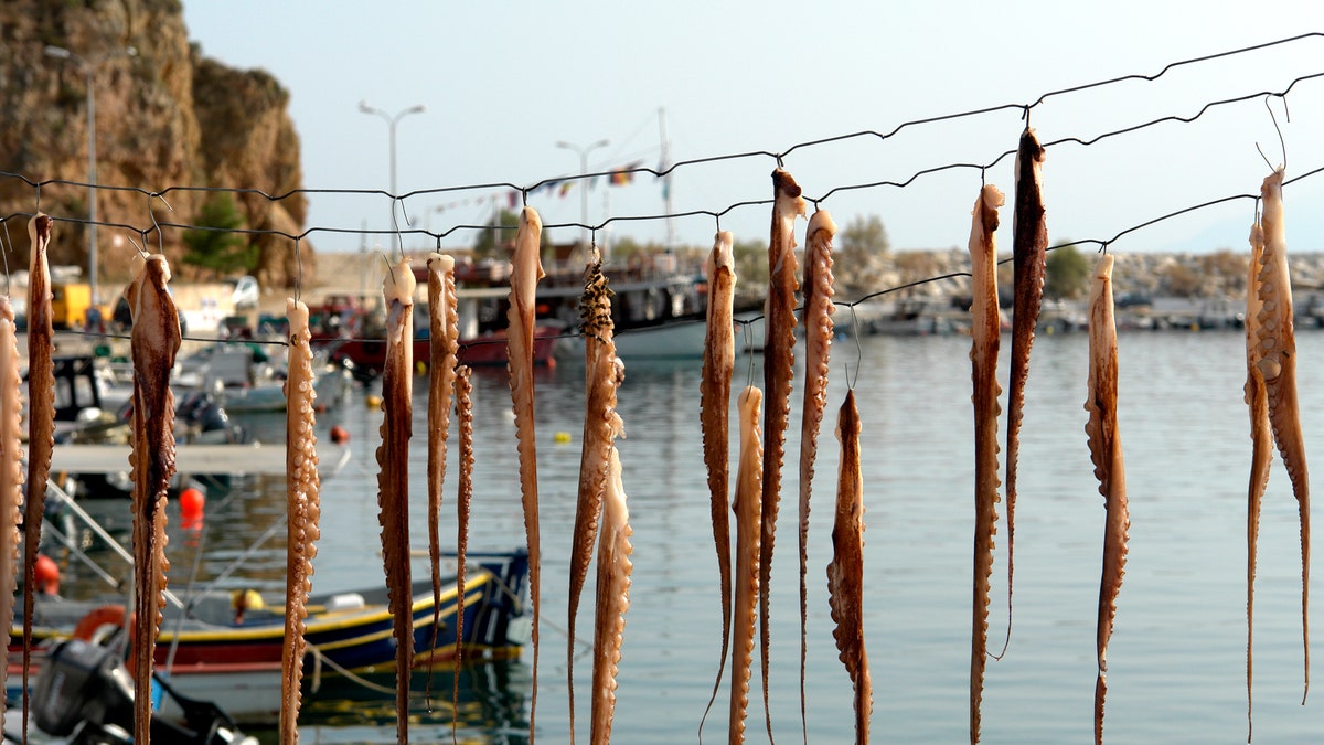 Octopus drying in the sun in Greece