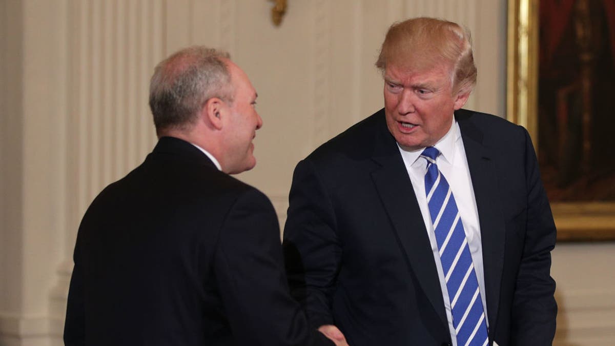 House Minority Whip Steve Scalise said he is "proud to endorse Donald Trump for president in 2024."