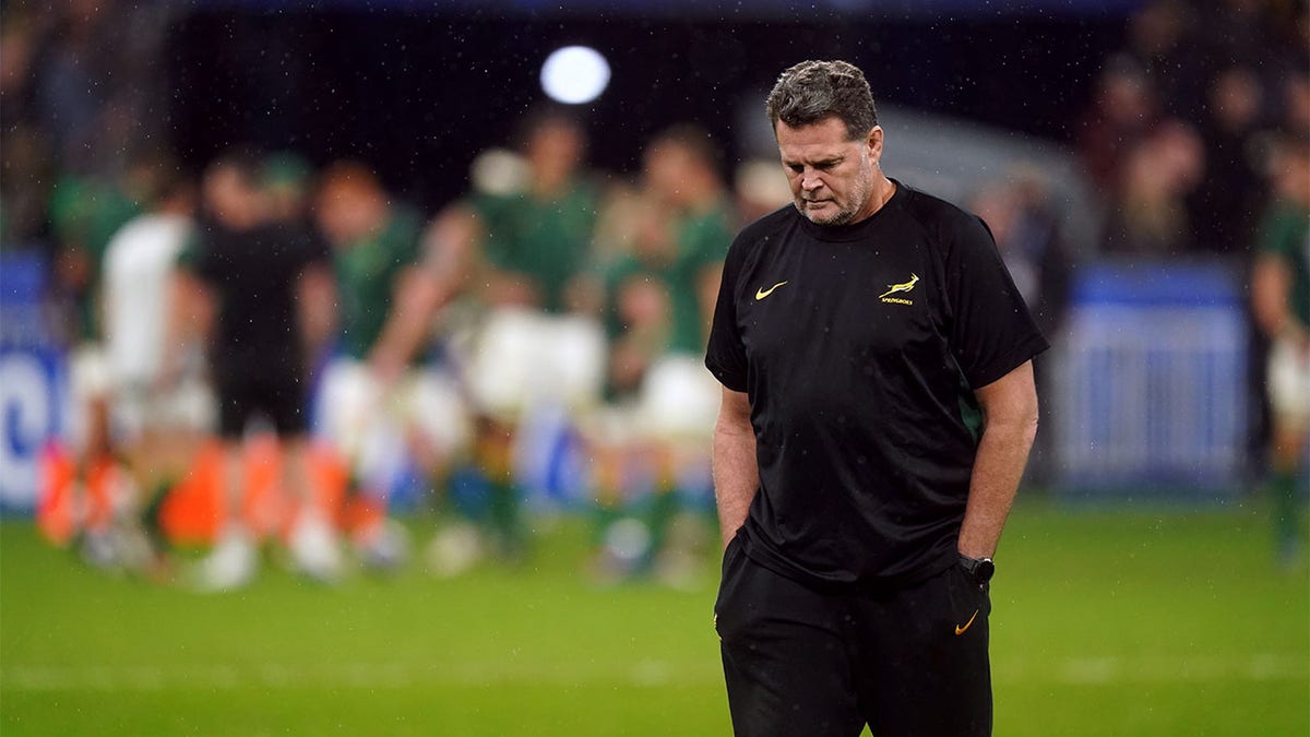 Rassie Erasmus at the Rugby World Cup