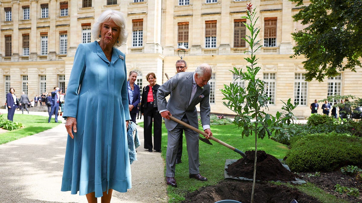 Queen Camilla looking at the camera as King Charles plants a tree