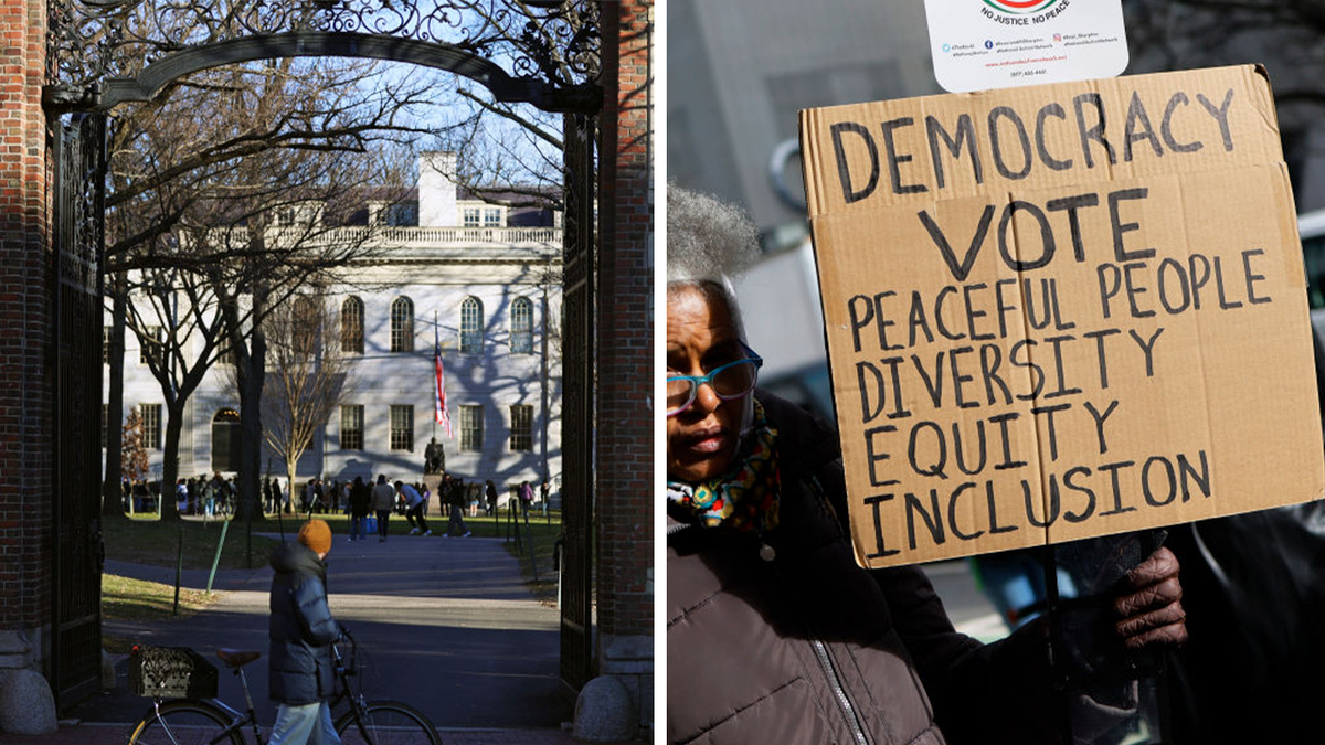 Harvard University and pro-DEI protesters