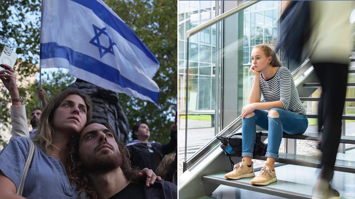 Israeli demonstrators and student split image