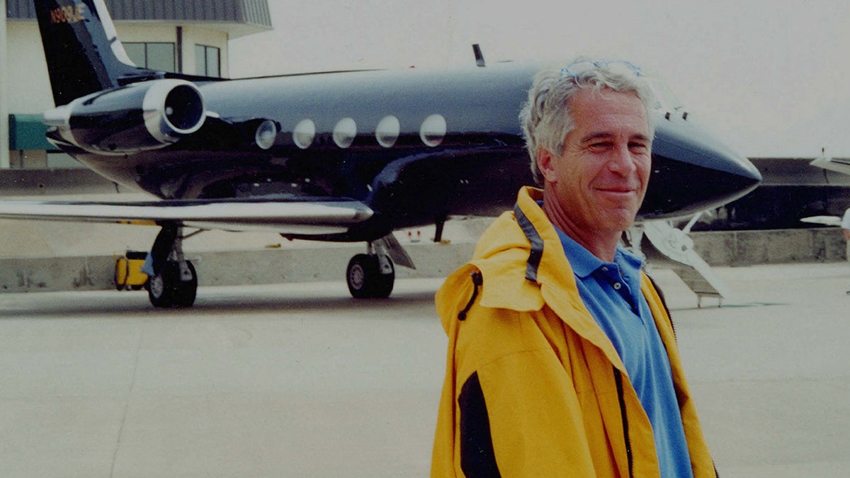 Jeffrey Epstein is put in front of his fleet of private aircraft