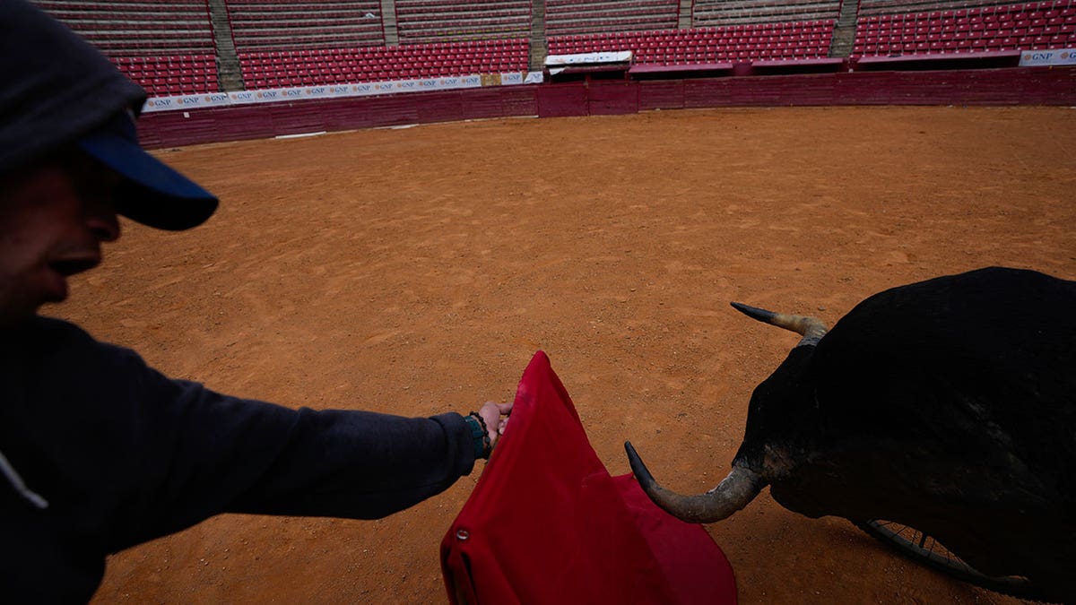 Bullfight underway