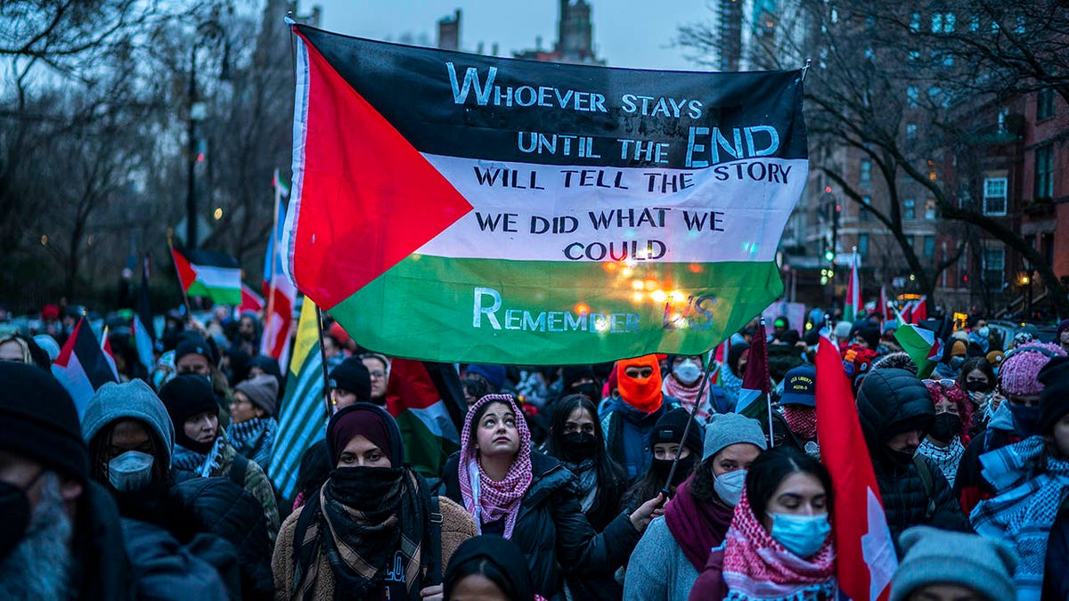 Pro-Palestine protesters in NYC