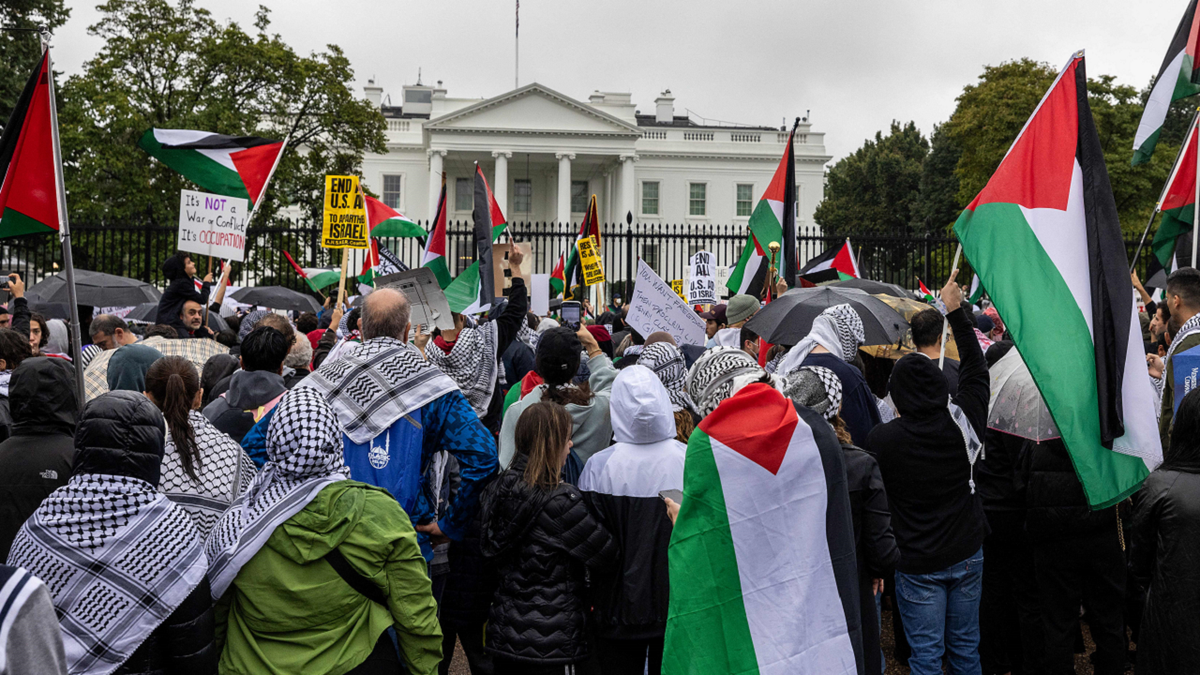 Pro-Palestinian protesters at White House