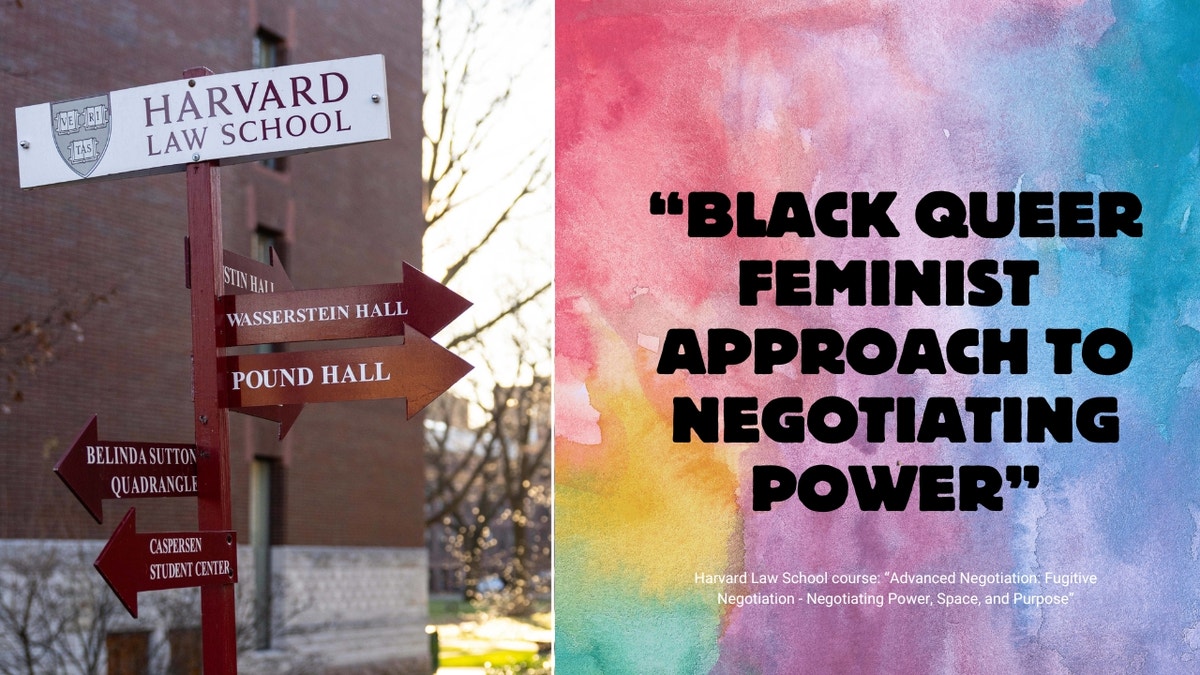 Harvard Law school course