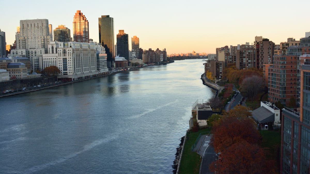 A view of the East River with Manhattan on the left and Roosevelt Island on the right