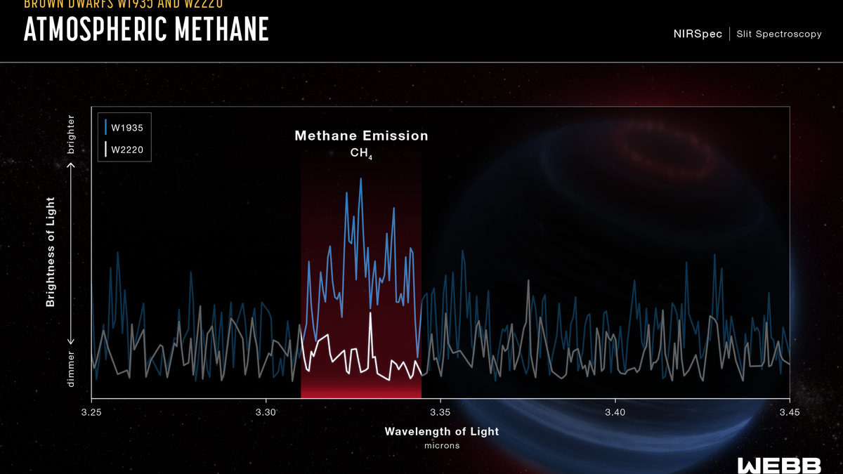 Astronomers examine celestial objects