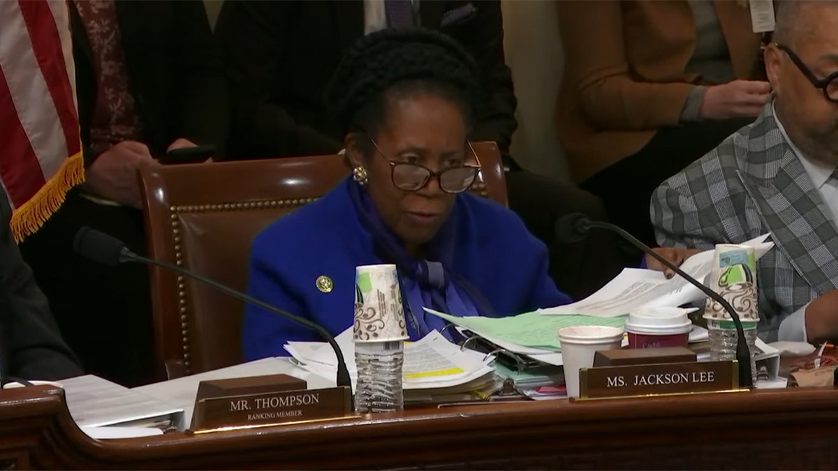 Sheila Jackson Lee at a hearing