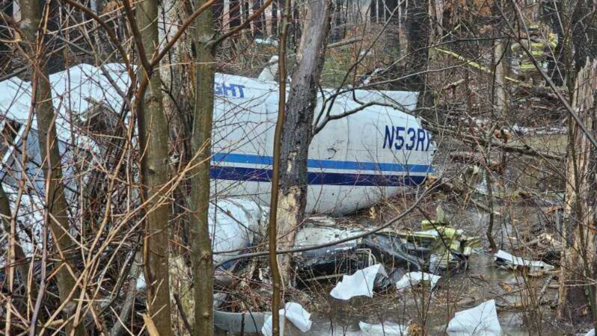 Wreckage of plane crash in a neighborhood surrounding trees