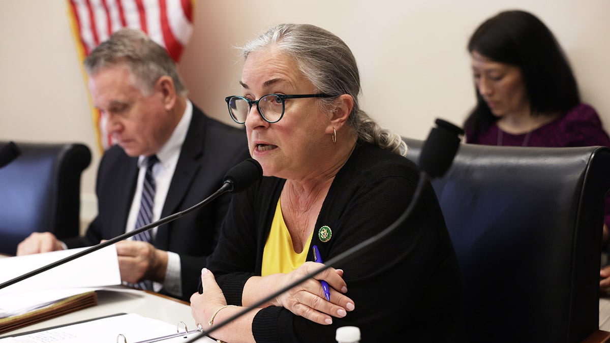 Pennsylvania Democratic Rep. Susan Wild in a House hearing