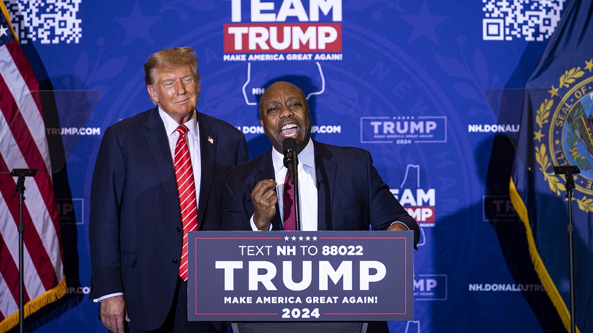 Tim Scott To Affix Trump On Stage At Marketing Campaign Rally Amid VP ...