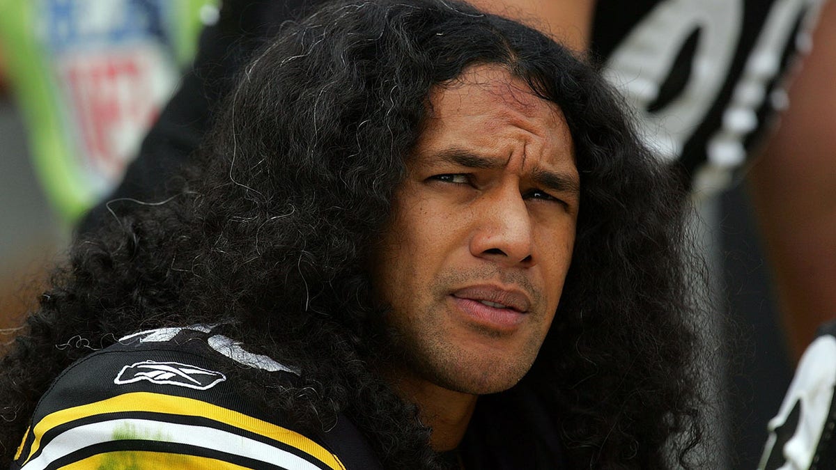 Troy Polamalu vs Texans