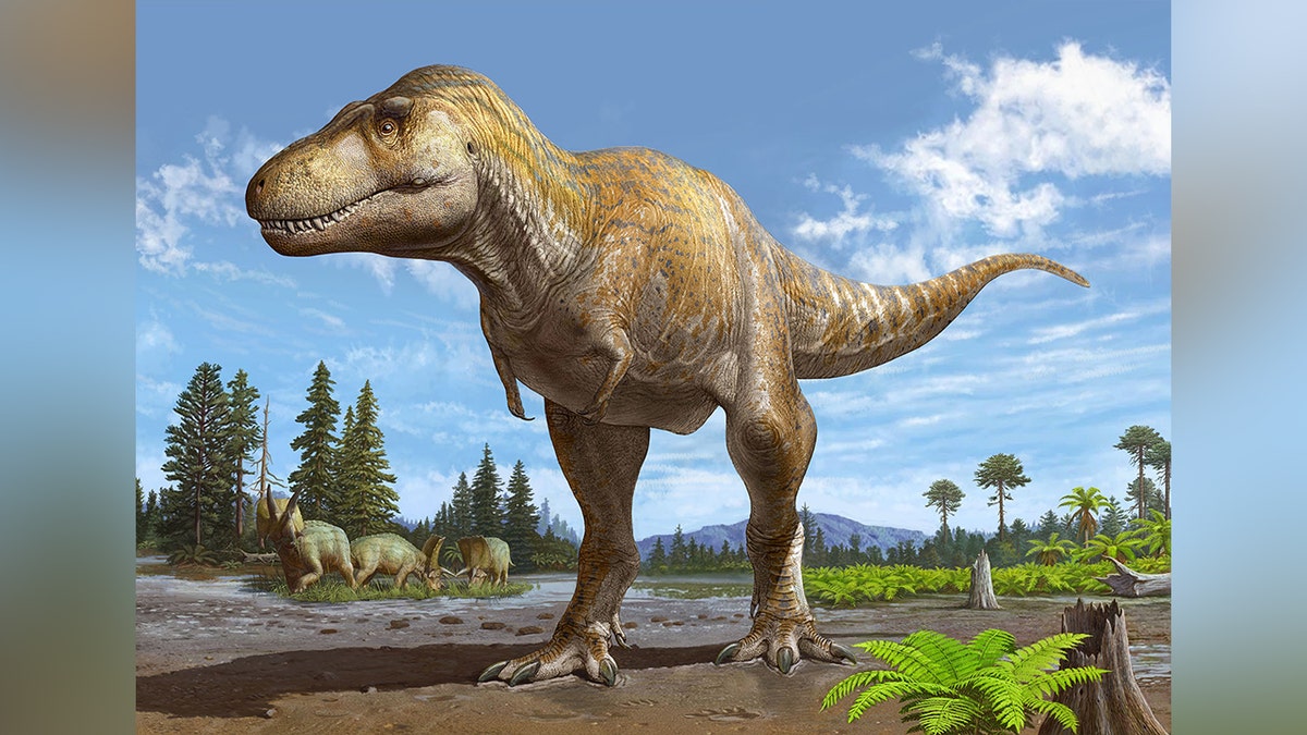 Rendering of Tyrannosaurus mcraeensis