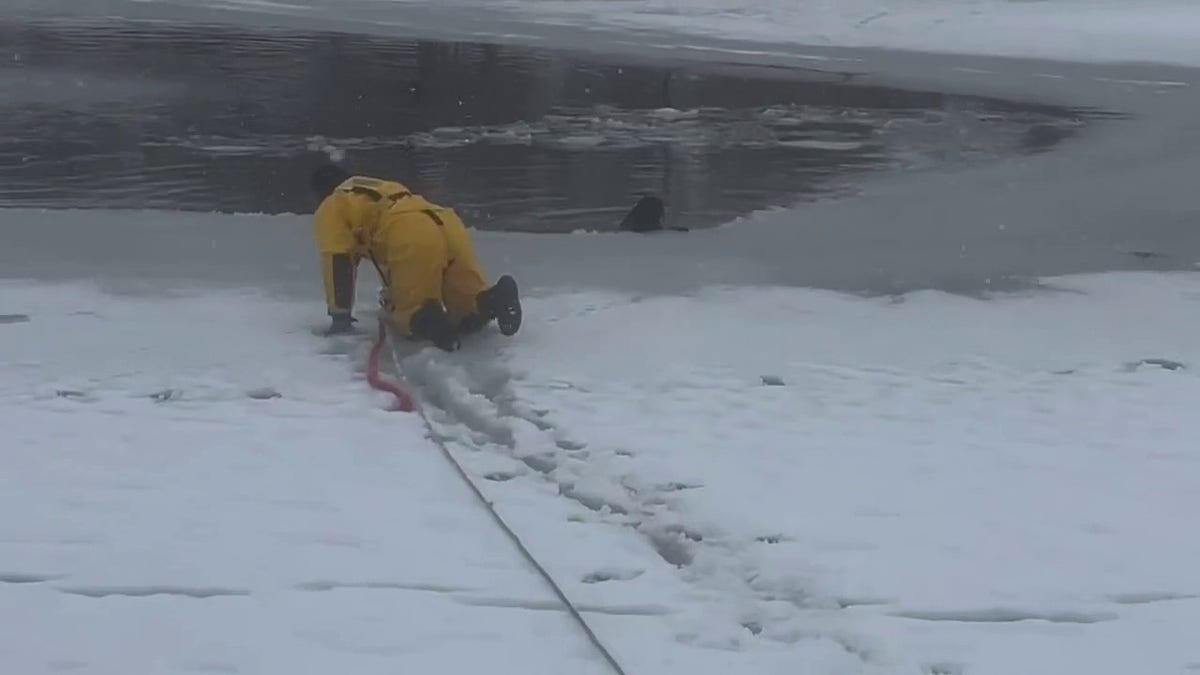 firefighter crawling across ice