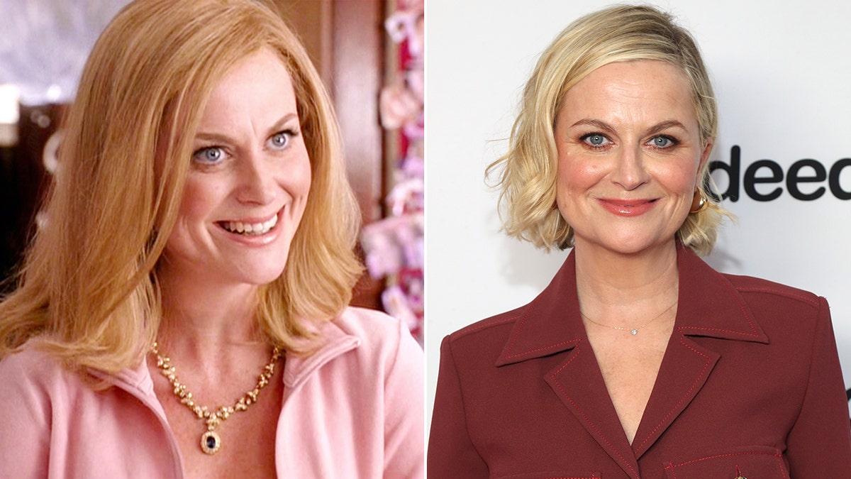 Amy Poehler then and now split
