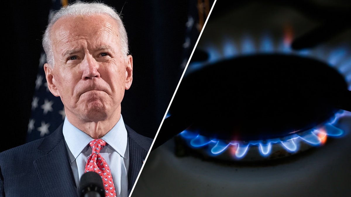 President Biden and gas stove burner