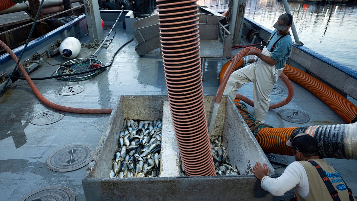 a photo of fishermen