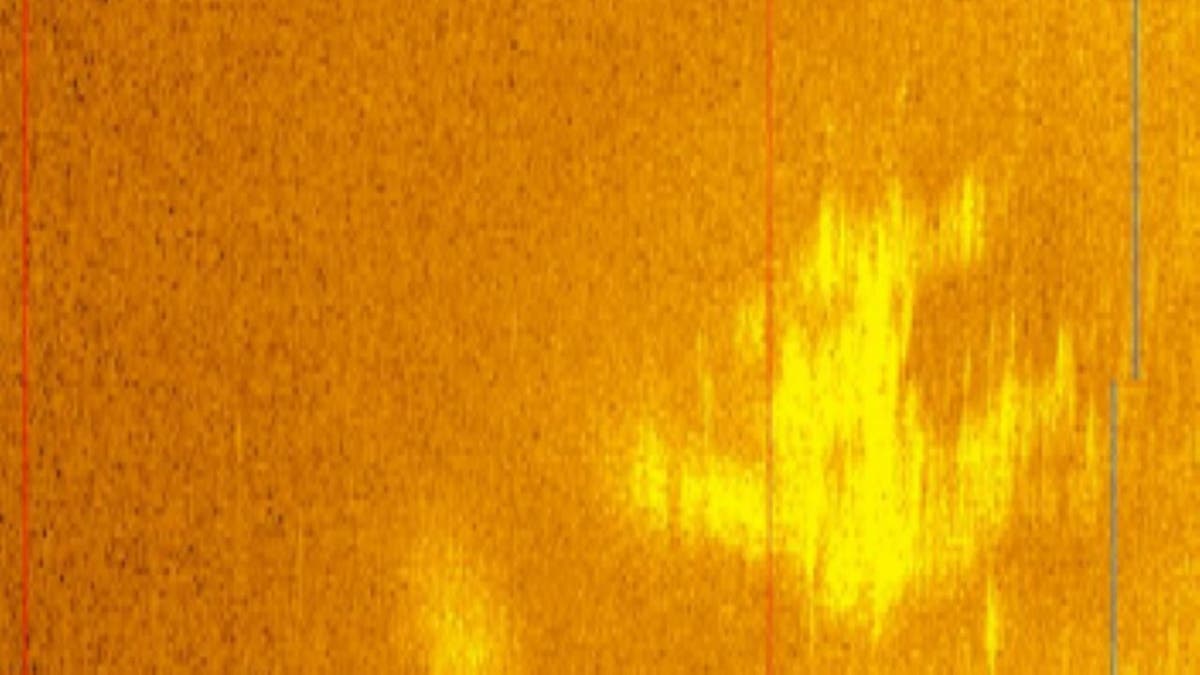 Brightened sonar image of plane-shaped object