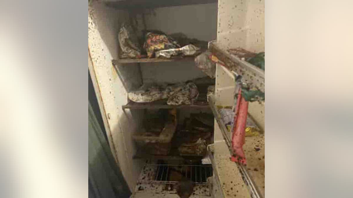 broken fridge with moldy food and bugs