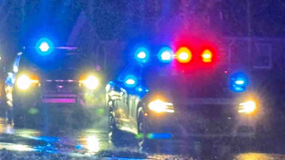 police cars