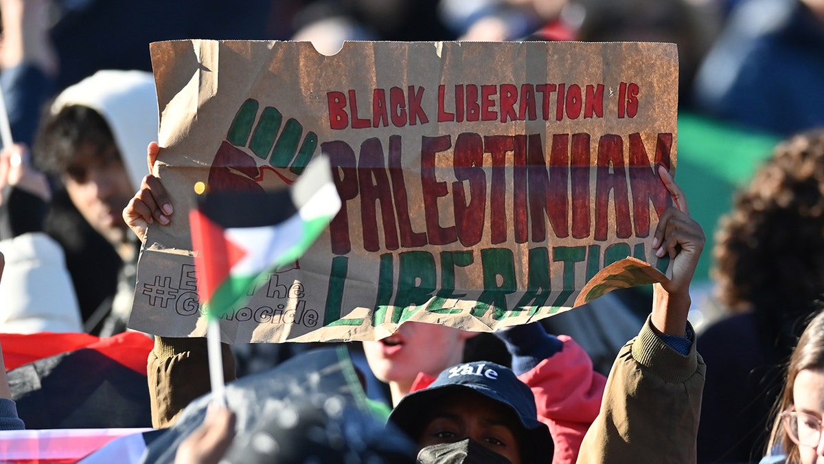 A protest sign reads, "Black liberation is Palestinian liberation"