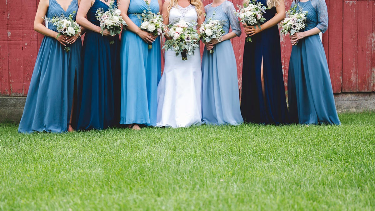 Bride hot sale and bridesmaids