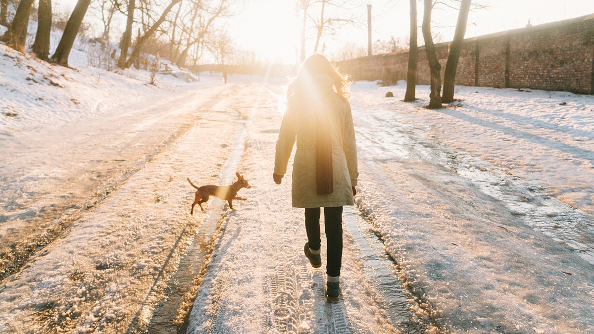 woman walks her dog on a winter morning