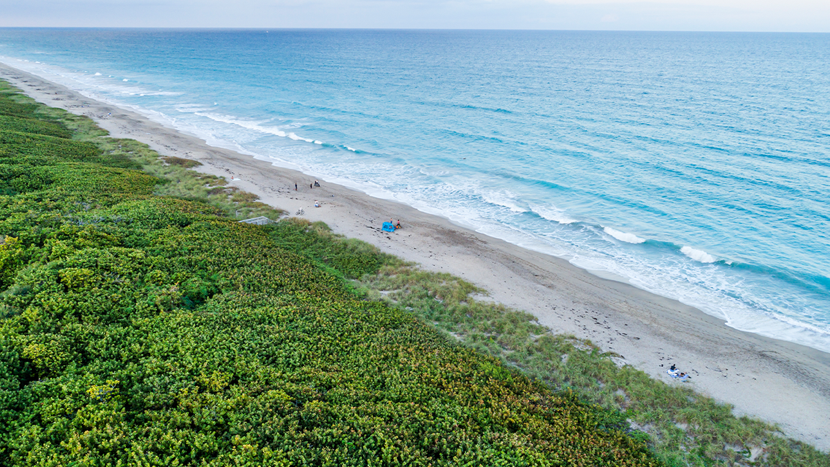 aerial view of beach in Martin County, Fla
