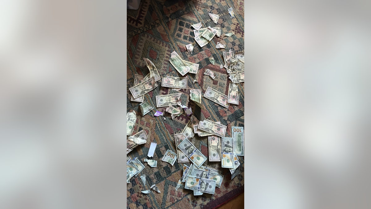 money found eaten by dog