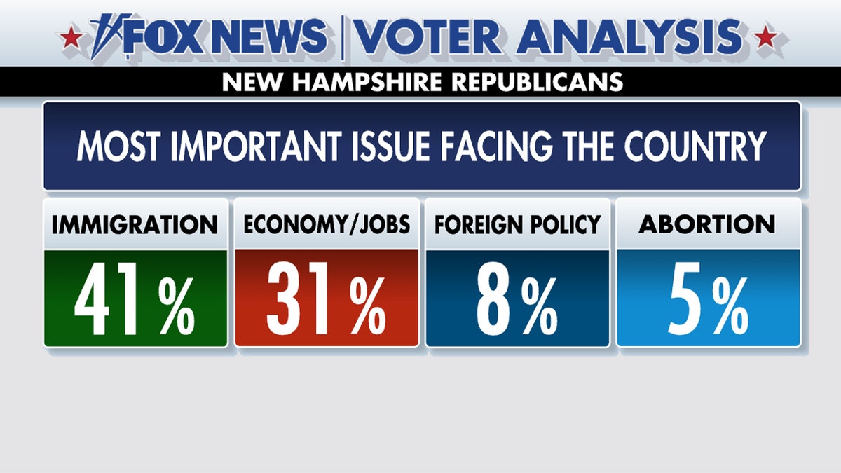 Immigration voted most important issue in country