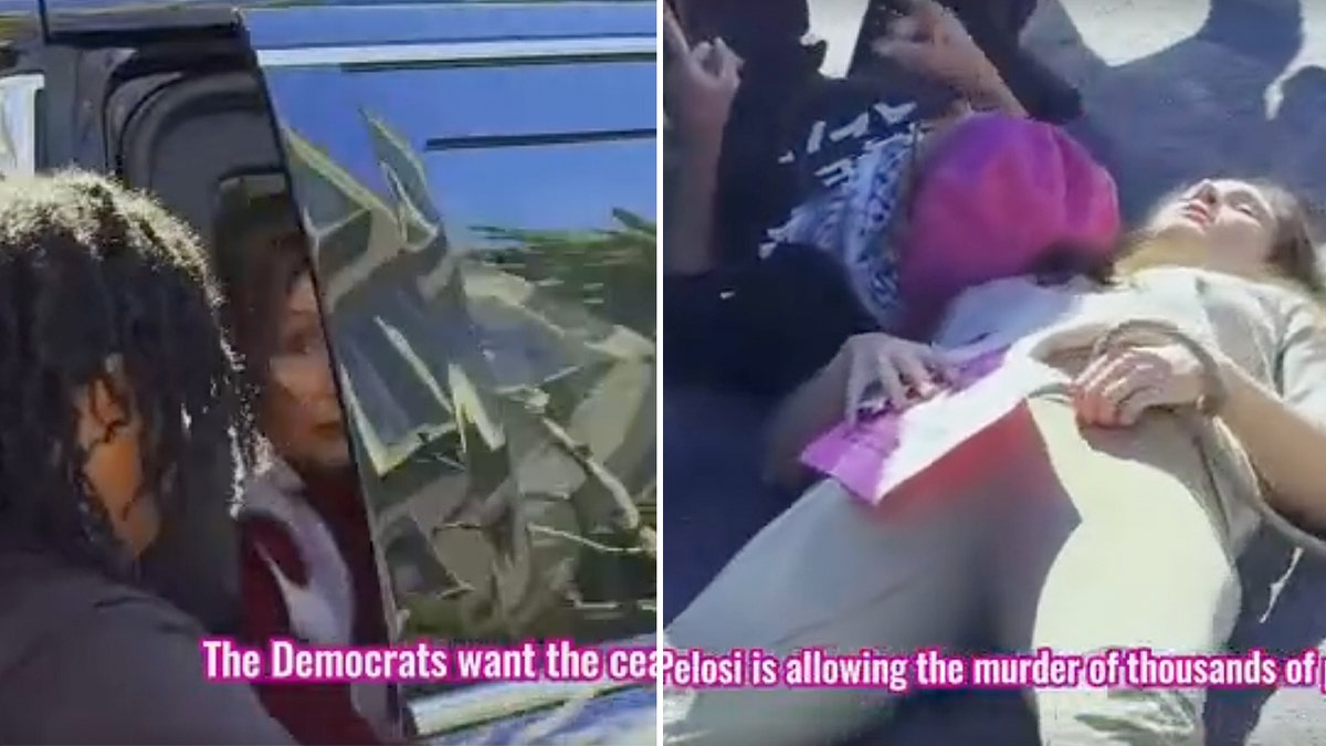 Pelosi protest