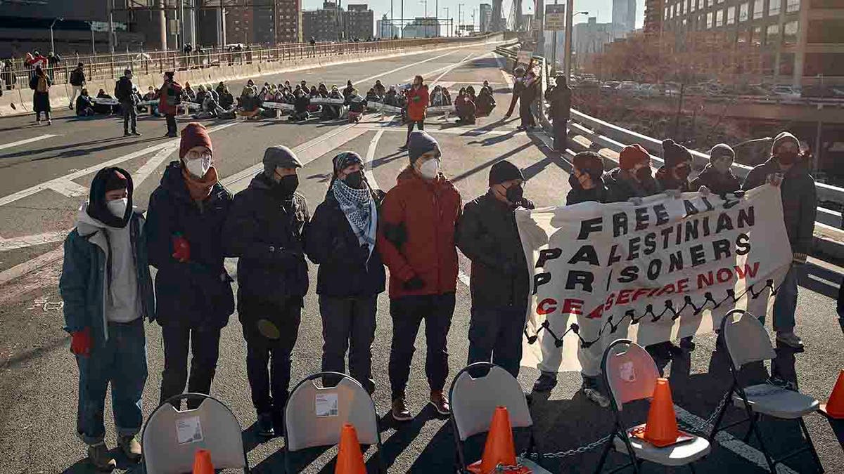 protesters on Brooklyn Bridge