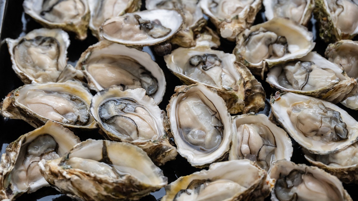 Raw oysters