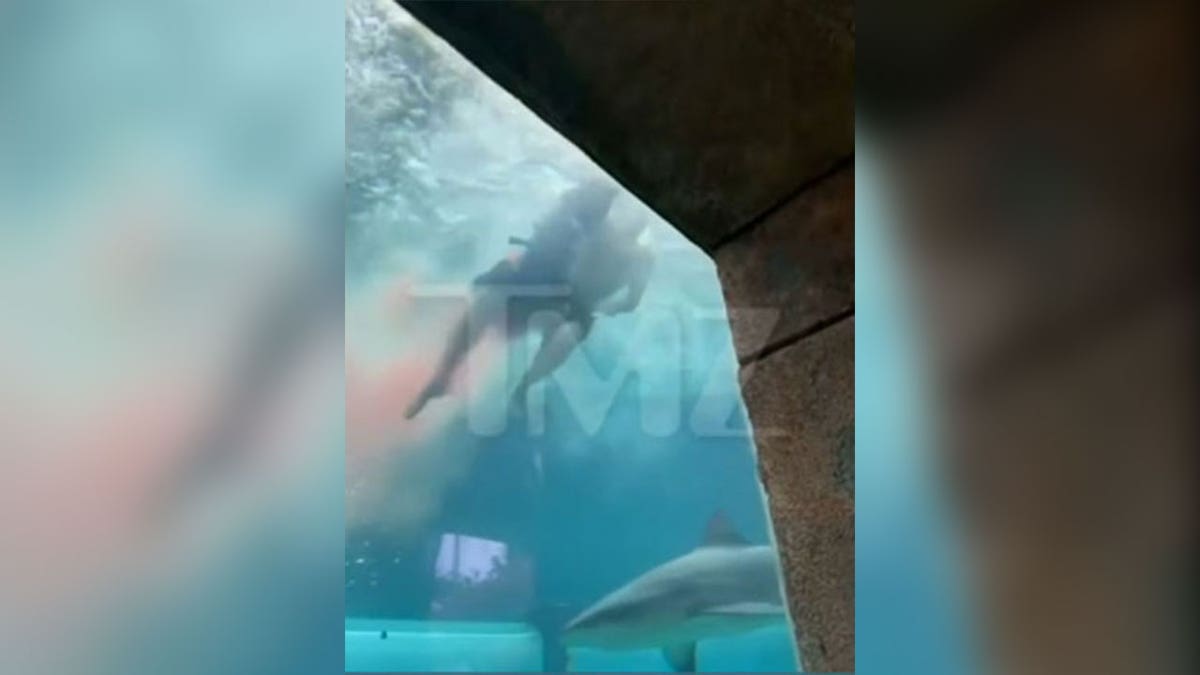 Video of Bahamas shark attack aftermath