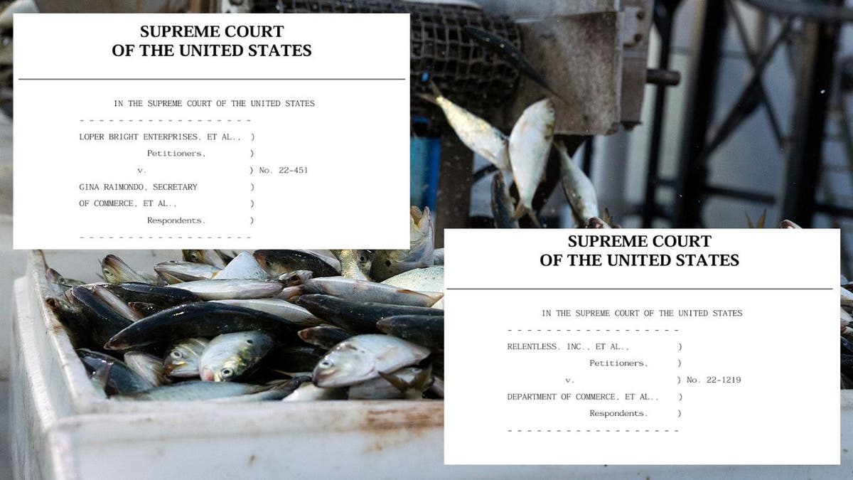 a photo of supreme court cases