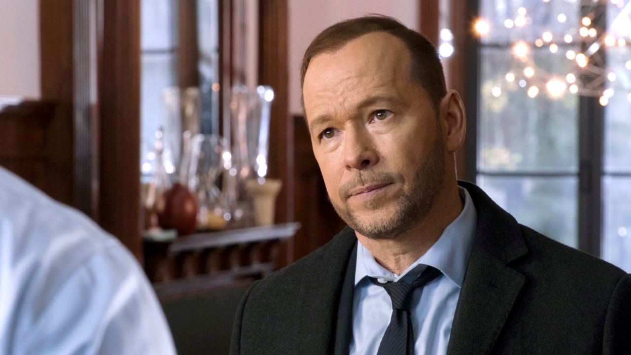 Blue Bloods' star Donnie Wahlberg says cast 'did everything we could' to  save hit show | Fox News