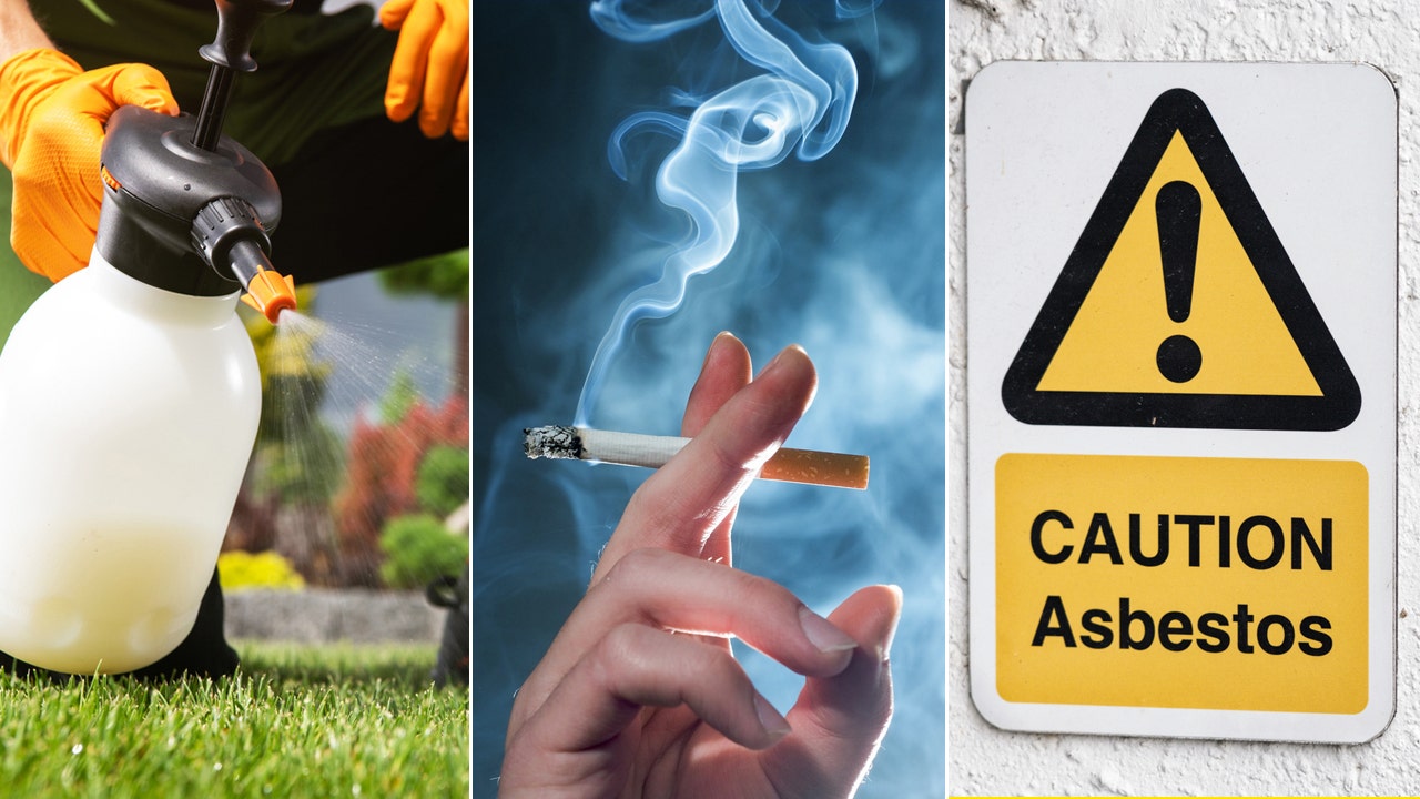Cancer causes: These 10 hidden carcinogens can raise the risk, according to  an oncology expert