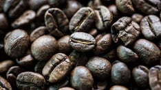 Uncovering the world's most expensive coffee beans