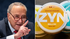 Experts say Schumer attack on Zyn is ‘moral panic’ about smoke-free nicotine products that can ‘save lives'