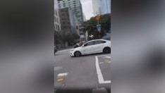 Video shows woman clutching onto hood of car after thieves allegedly stole her French Bulldog