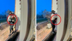 Police warn homeowners about bandits pretending to sell roses in burglary scheme