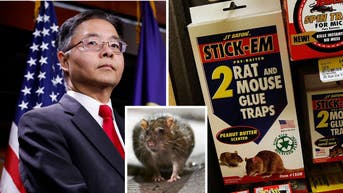 California Democrat proposes national ban on certain traps used to catch pesky rodents