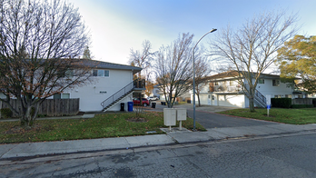 California father arrested after son used his stolen gun to kill 10-year-old boy: police