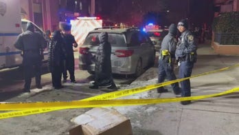 Elderly Brooklyn couple alleged stabbed to death by 'mentally ill' son: police