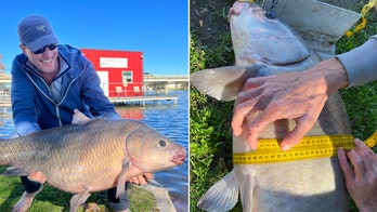 Angler hopes 27-pound smallmouth buffalo fish shatters Texas record