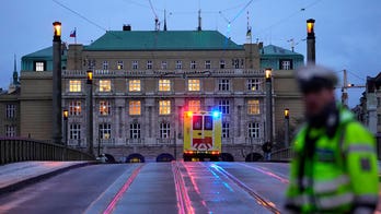 Czech Parliament passes gun control bill following December massacre