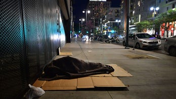 Los Angeles recruits up to 6K volunteers to count city's homeless population as crisis worsens