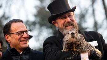 PETA suggests replacing Punxsutawney Phil groundhog with giant gold coin: 'Cruel annual gimmick is abusive'